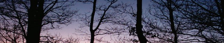 Banner Panorama